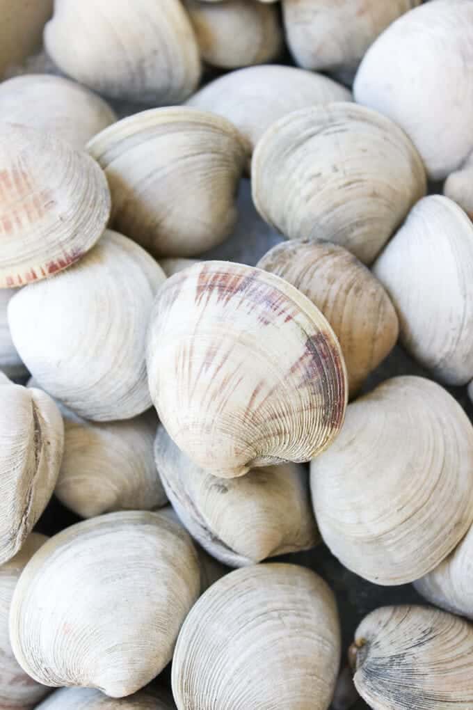 Hop Infused Irish Cider Steamed Clams Wicked Spatula