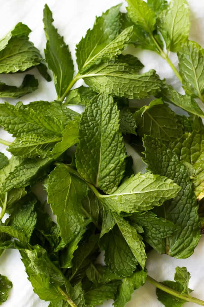 mint leaves