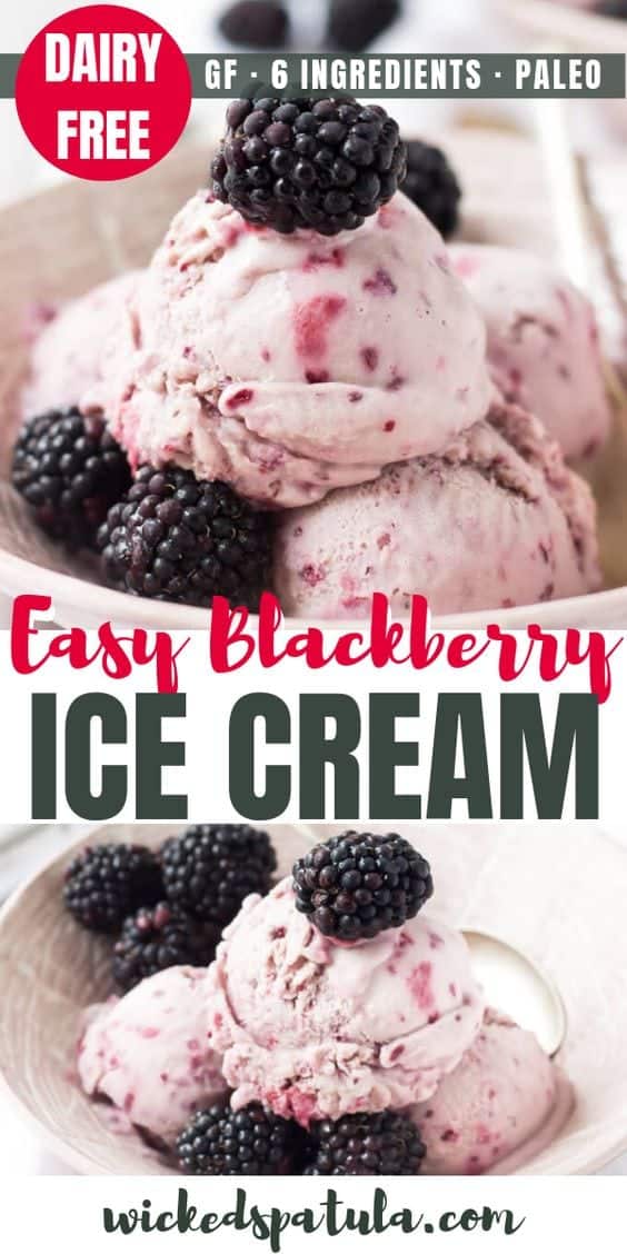 Homemade blackberry ice cream recipe