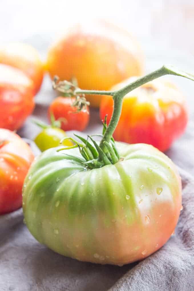 heirloom Tomato