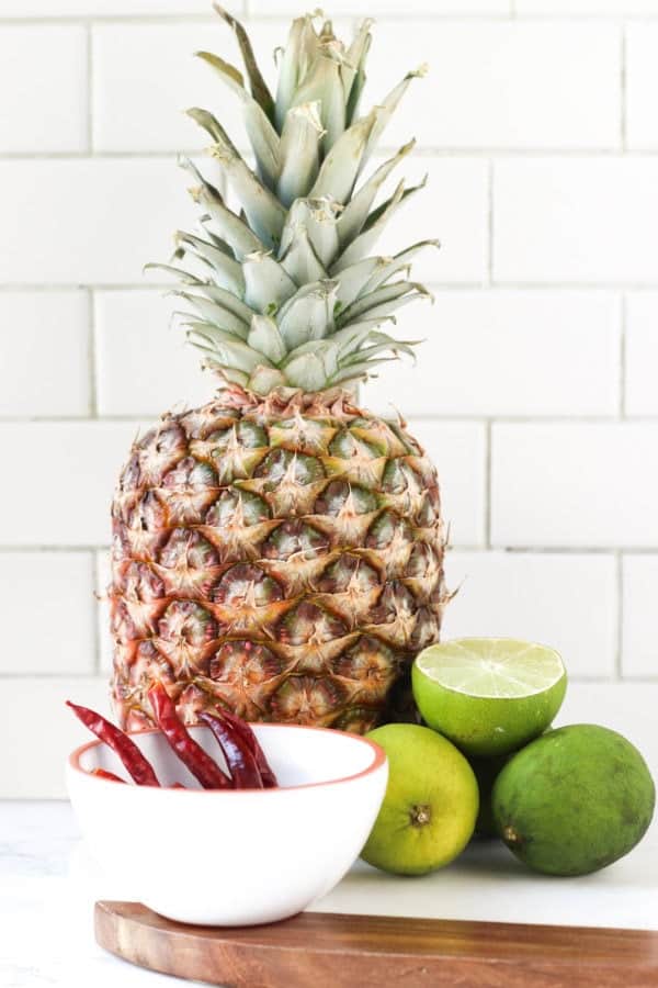 Homemade Sparkling Water + 3 Fun Recipes! Wicked Spatula