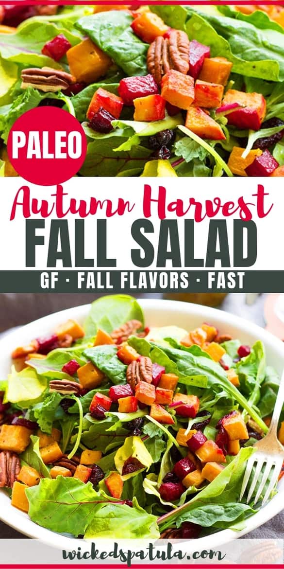 A healthy fall harvest salad recipe packed with sweet potatoes, beets, cranberries, pecans and drizzled with maple mustard dressing! This autumn salad will be one of your favorite fall salad recipes.