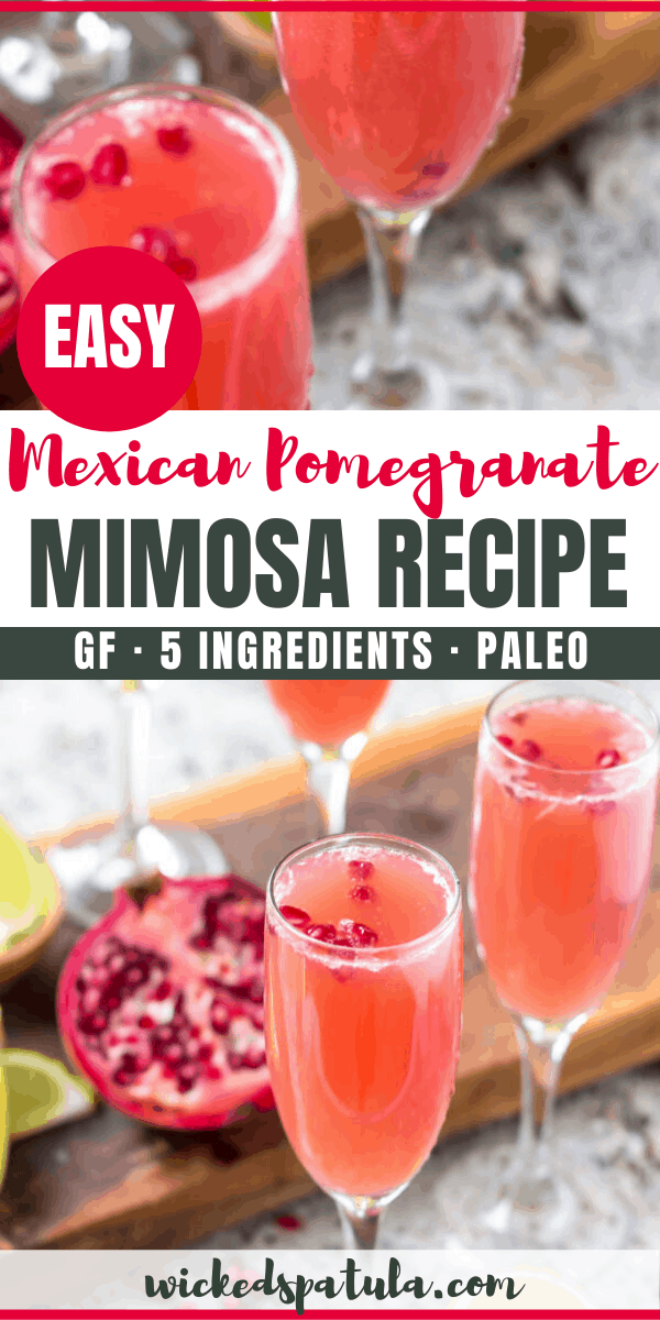 Mexican mimosa - pinterestt