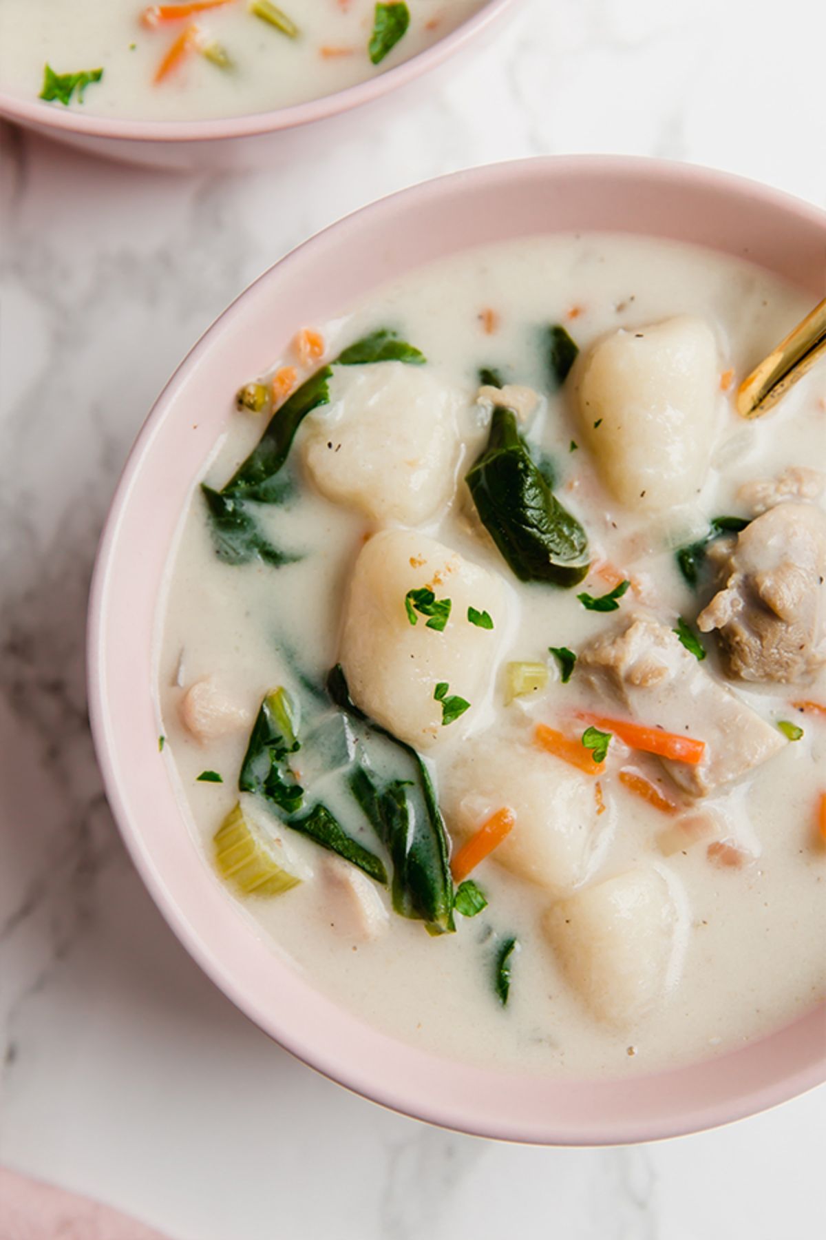 a pale pink bowl of chicken and gnocchi soup with spinach leaves just seen