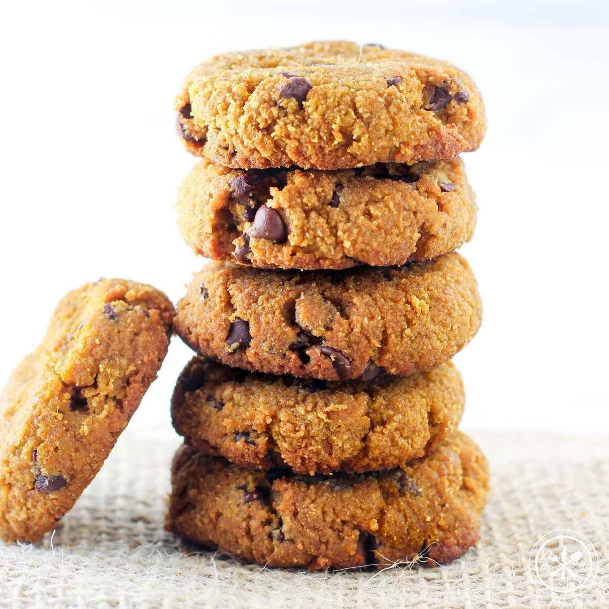 a stack of pumpkin chocolate chip cookies