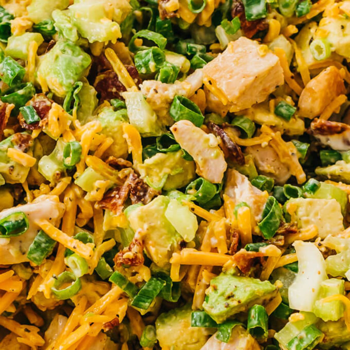 A close up of a creamy salad with shredded cheese, chicken, avocado and scallions