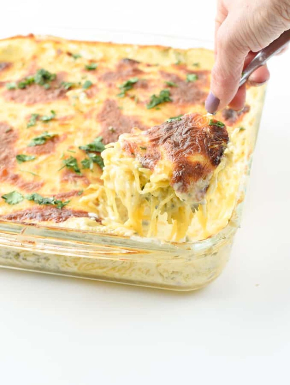 A partial shot of a rectangular casserole dish filled with spaghetti squash, and creamy sauce. A hand holds a spoon and lifts a portio of the casserole up